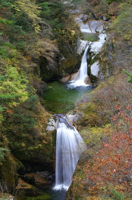 20061112_ojiragawatrip_0291